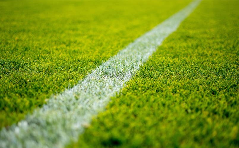 Field Renovations